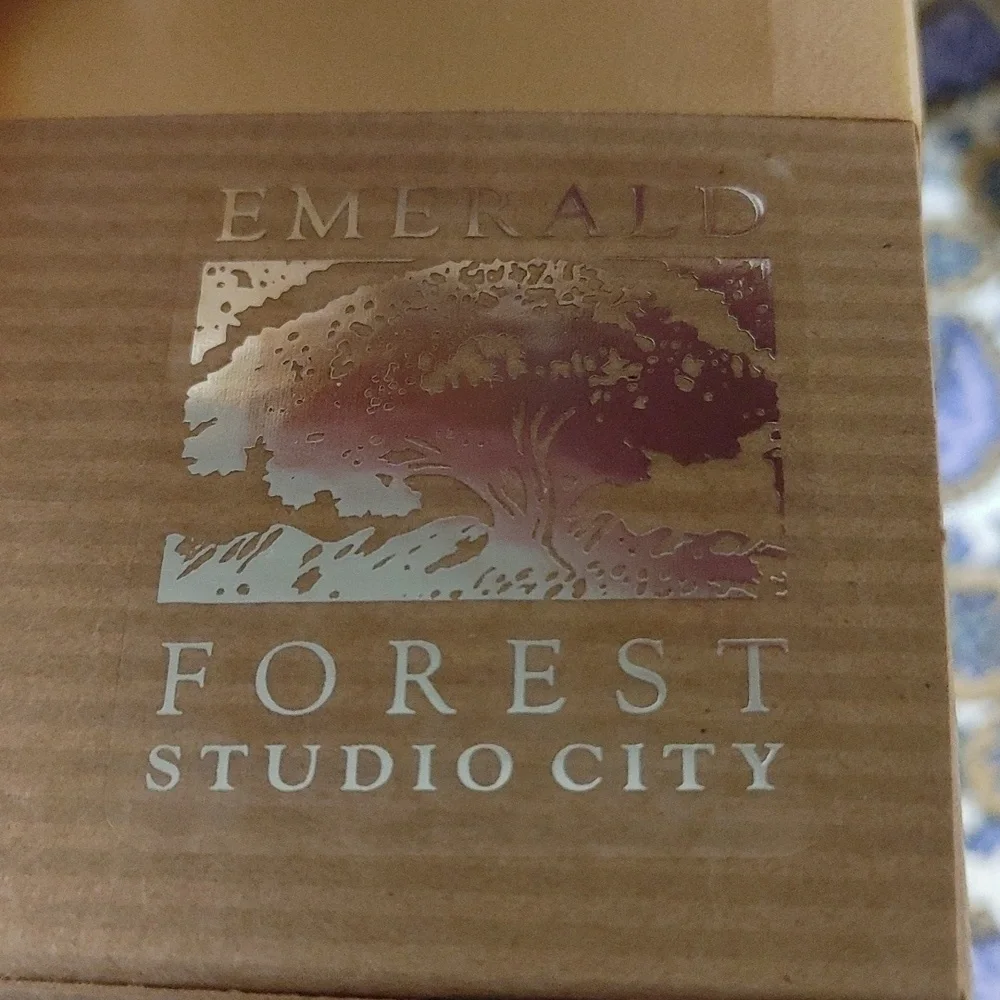 NIB Santa Barbara Design Studio 4 Luncheon Plates w Description